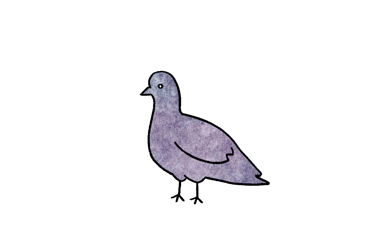 Pigeon.gif